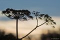 Augustus, Natuurtuin t Loo